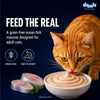 Drools Adult Cat Wet Mousse 80g Pack of 5, Total 400g | Ocean Fish Flavour | Rich in Protein, Hydrating & Easy to Digest | Essential Vitamins & Antioxidants Drools