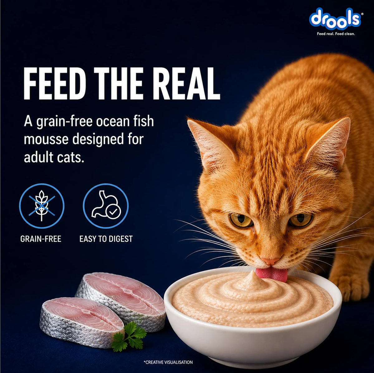 Drools Adult Cat Wet Mousse 80g Pack of 5, Total 400g | Ocean Fish Flavour | Rich in Protein, Hydrating & Easy to Digest | Essential Vitamins & Antioxidants Drools