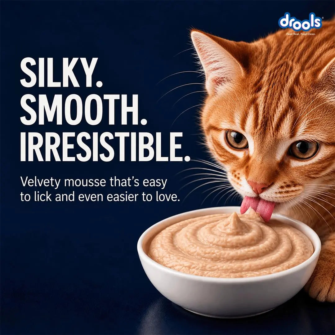Drools Adult Cat Wet Mousse 80g Pack of 5, Total 400g | Ocean Fish Flavour | Rich in Protein, Hydrating & Easy to Digest | Essential Vitamins & Antioxidants Drools