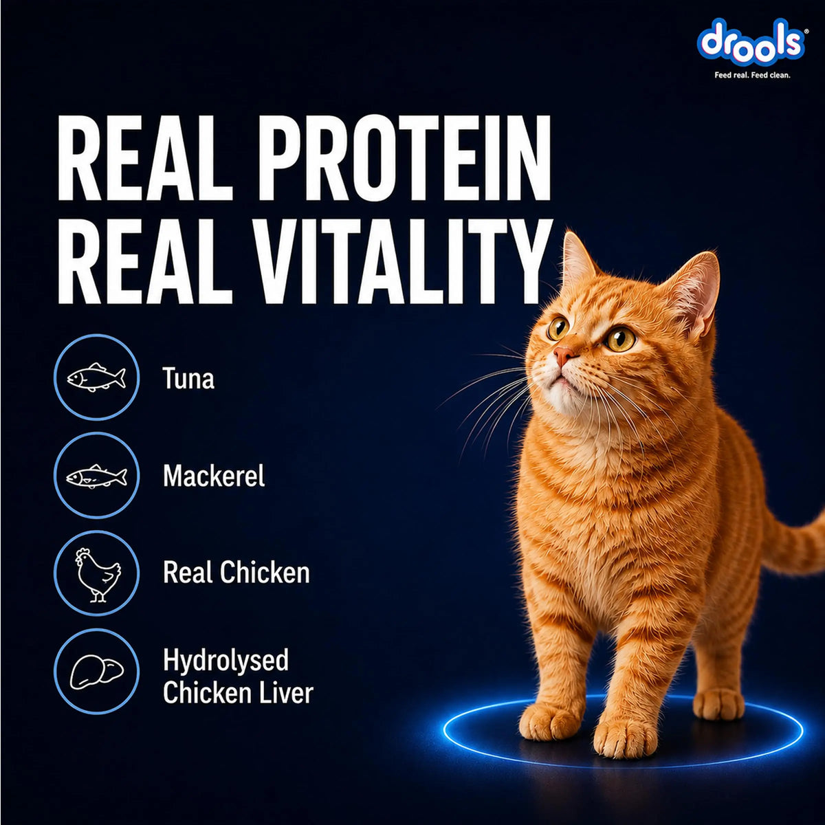 Drools Adult Cat Wet Mousse 80g Pack of 5, Total 400g | Ocean Fish Flavour | Rich in Protein, Hydrating & Easy to Digest | Essential Vitamins & Antioxidants Drools