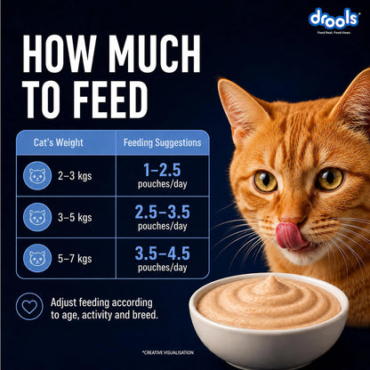 Drools Adult Cat Wet Mousse 80g Pack of 5, Total 400g | Ocean Fish Flavour | Rich in Protein, Hydrating & Easy to Digest | Essential Vitamins & Antioxidants Drools