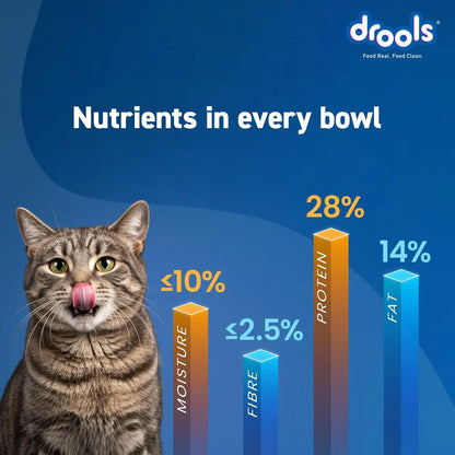 Drools Adult Dry Cat Food 3kg | Real Chicken | Skin Health | Hairball Protection | Vision Support | Complete Nutrition Drools