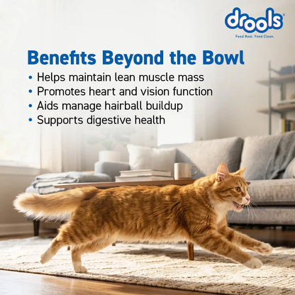 Drools Adult Dry Cat Food 3kg | Real Chicken | Skin Health | Hairball Protection | Vision Support | Complete Nutrition Drools
