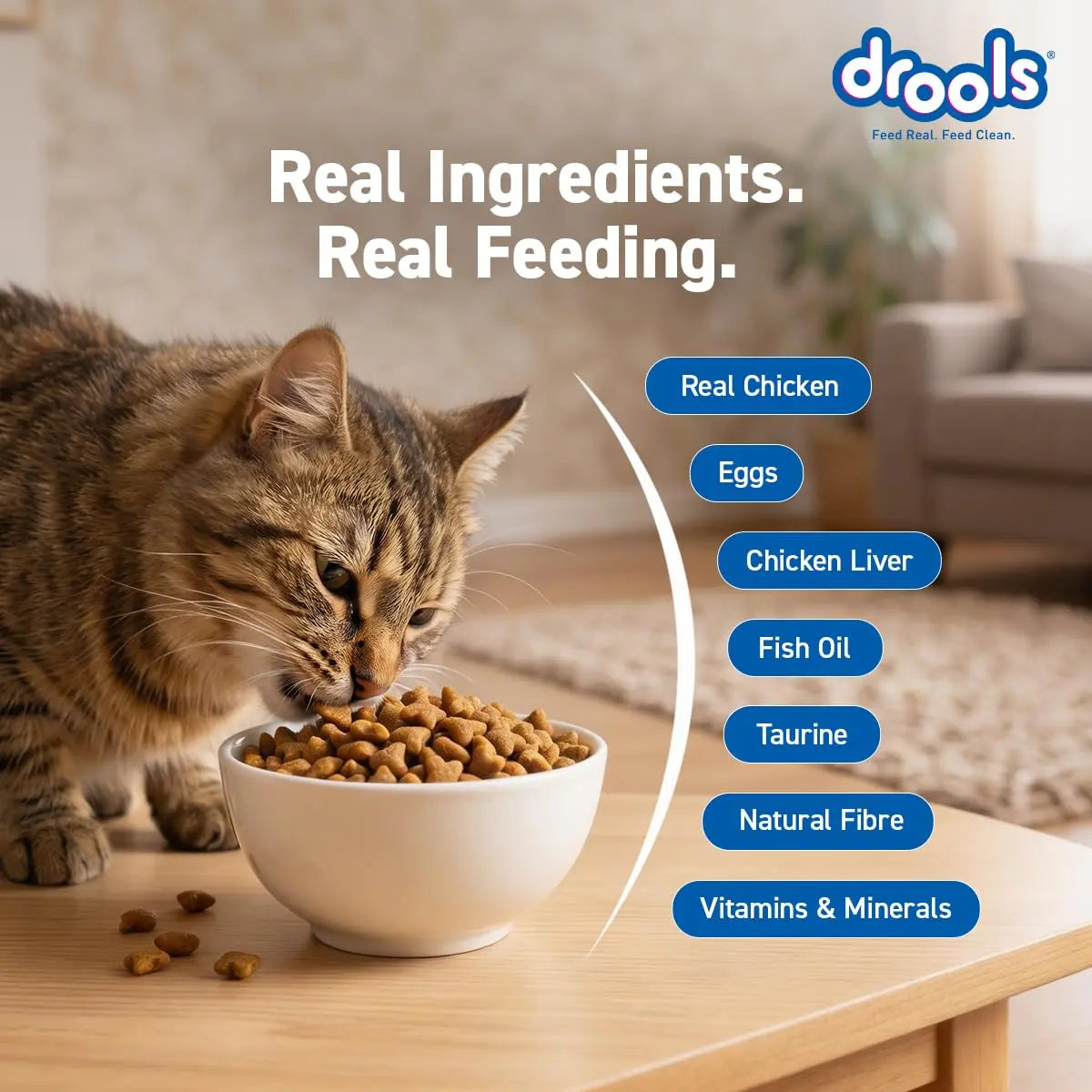 Drools Adult Dry Cat Food 3kg | Real Chicken | Skin Health | Hairball Protection | Vision Support | Complete Nutrition Drools
