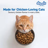 Drools Adult Dry Cat Food 3kg | Real Chicken | Skin Health | Hairball Protection | Vision Support | Complete Nutrition Drools