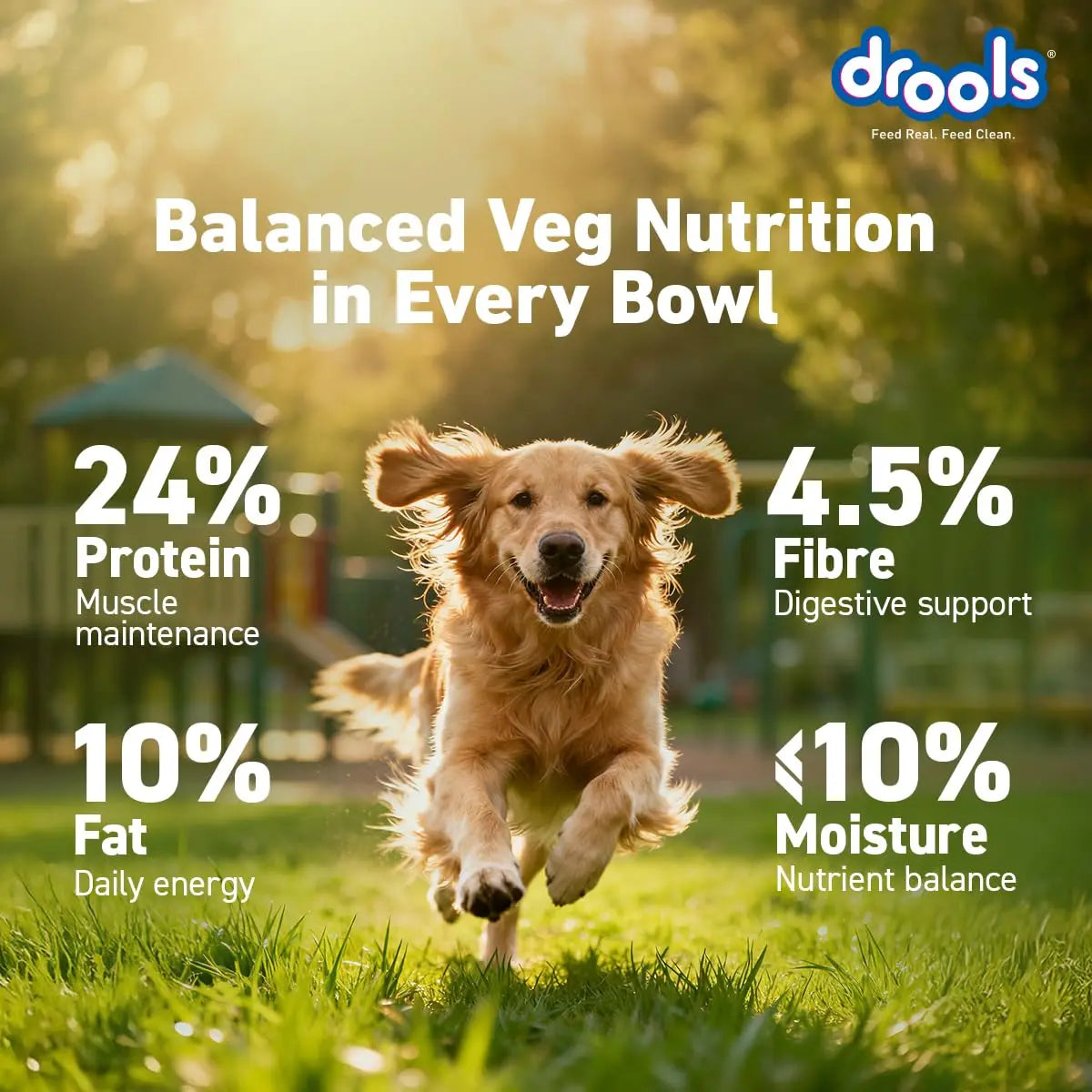 Drools Adult & Puppy Dry Dog Food 1.2 kg Pack | 100% Vegetable Flavour | All Lifestages | Better Digestibility | Strong Bone and Teeth Development | Boosted Immunity Drools