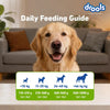 Drools Adult & Puppy Dry Dog Food 1.2 kg Pack | 100% Vegetable Flavour | All Lifestages | Better Digestibility | Strong Bone and Teeth Development | Boosted Immunity Drools
