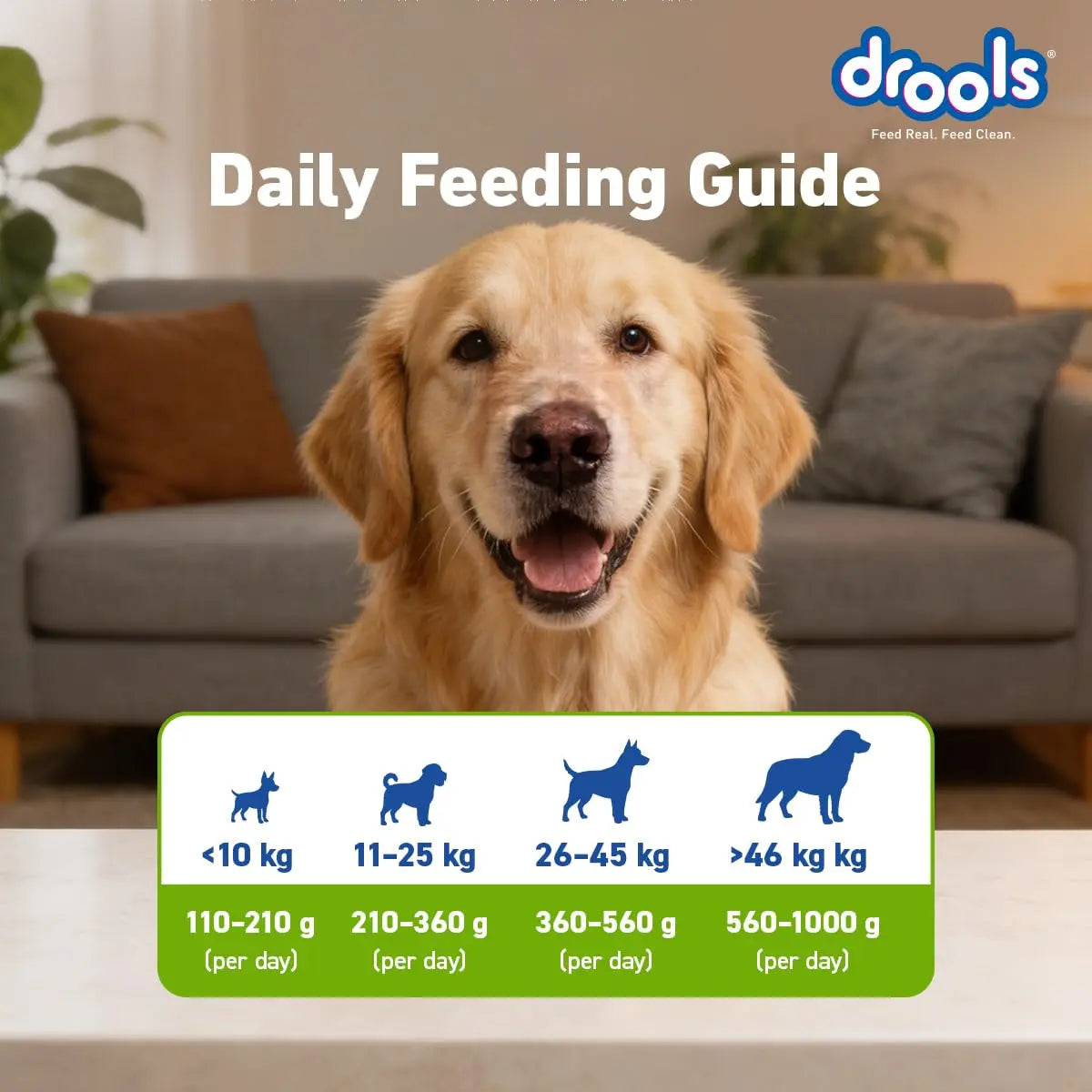 Drools Adult & Puppy Dry Dog Food 1.2 kg Pack | 100% Vegetable Flavour | All Lifestages | Better Digestibility | Strong Bone and Teeth Development | Boosted Immunity Drools