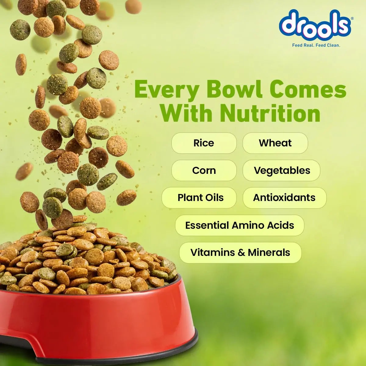 Drools Adult & Puppy Dry Dog Food 1.2 kg Pack | 100% Vegetable Flavour | All Lifestages | Better Digestibility | Strong Bone and Teeth Development | Boosted Immunity Drools