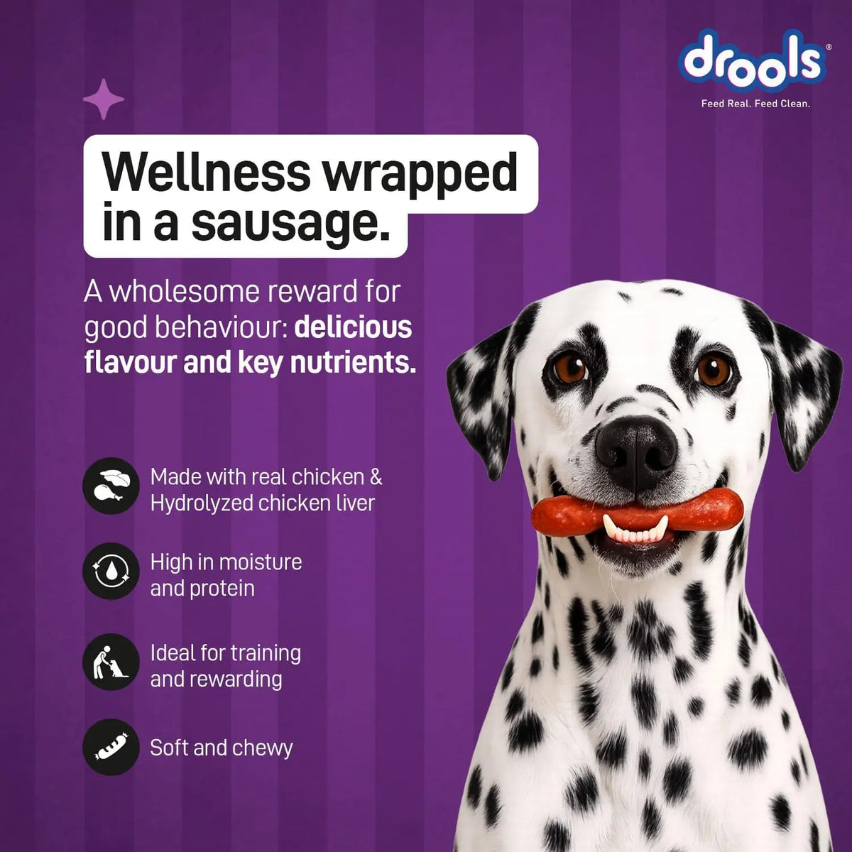 Drools Adult & Puppy Sausage for Dog, 450g | Liver Flavour | High Protein | Treat & Food Topper | Grain Free | Best for Training & Bonding | No Preservatives Drools