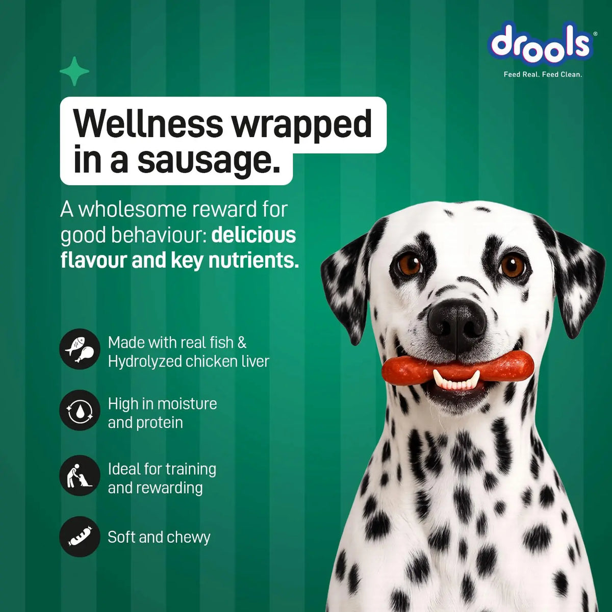 Drools Adult & Puppy Sausage for Dog, 450g | Real Fish Flavour | High Protein | Treat & Food Topper | Grain Free | Best for Training & Bonding | No Preservatives Drools