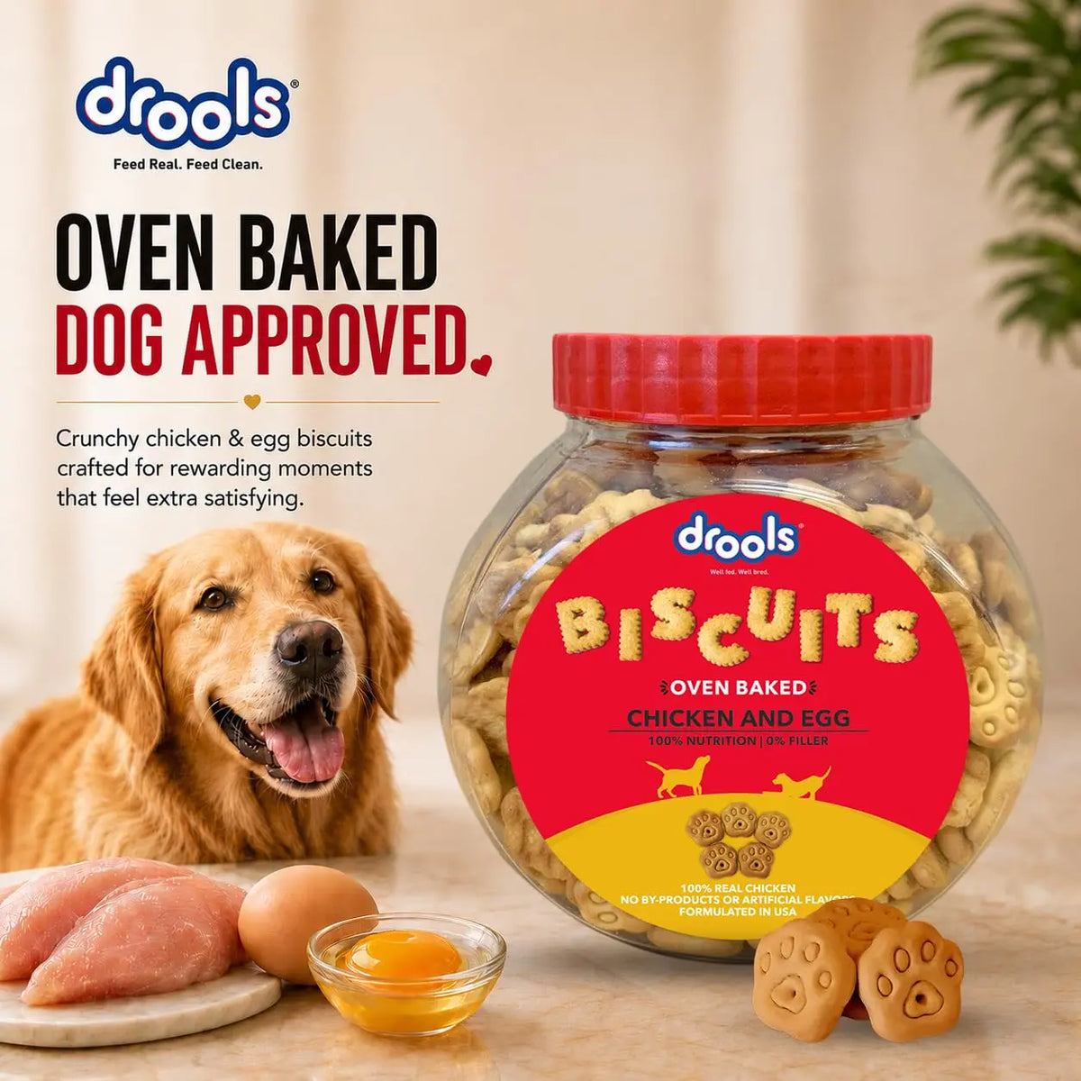 Drools All Life Stages Dog Treat Biscuits 400g Jar | Real Chicken Flavour | All Breed Formula | Promotes Lustrous Skin & Coat | Vitamins & Minerals | Reduces Tartar Build Up Drools