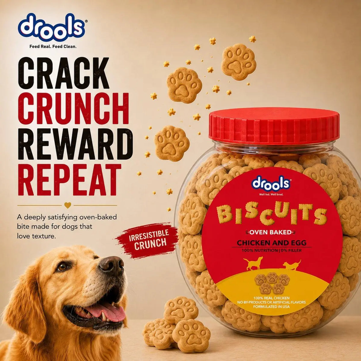 Drools All Life Stages Dog Treat Biscuits 400g Jar | Real Chicken Flavour | All Breed Formula | Promotes Lustrous Skin & Coat | Vitamins & Minerals | Reduces Tartar Build Up Drools