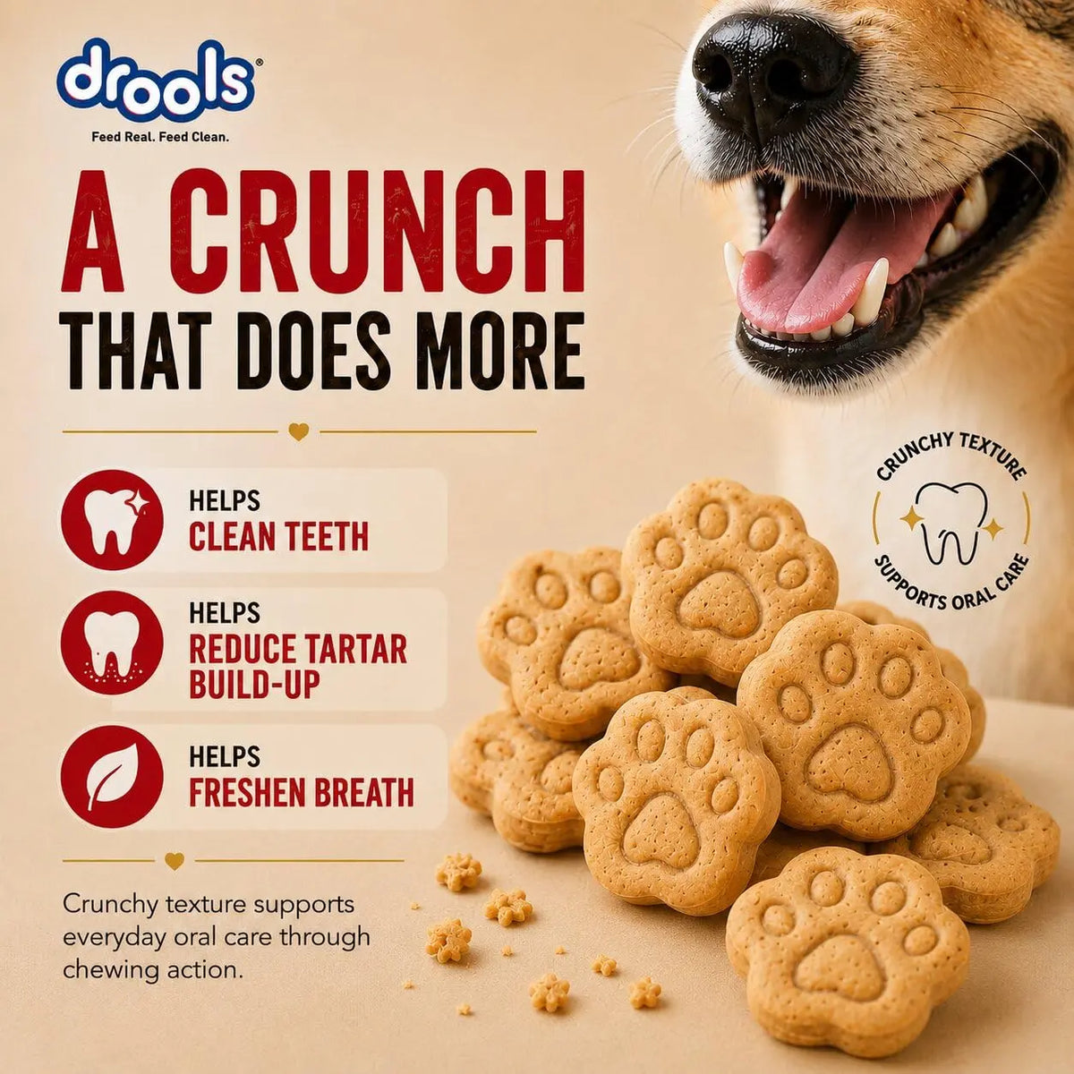 Drools All Life Stages Dog Treat Biscuits 400g Jar | Real Chicken Flavour | All Breed Formula | Promotes Lustrous Skin & Coat | Vitamins & Minerals | Reduces Tartar Build Up Drools