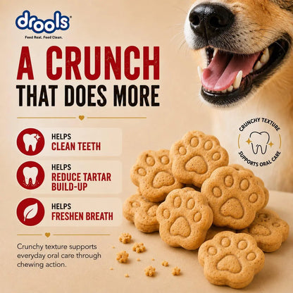 Drools All Life Stages Dog Treat Biscuits 400g Jar | Real Chicken Flavour | All Breed Formula | Promotes Lustrous Skin & Coat | Vitamins & Minerals | Reduces Tartar Build Up Drools