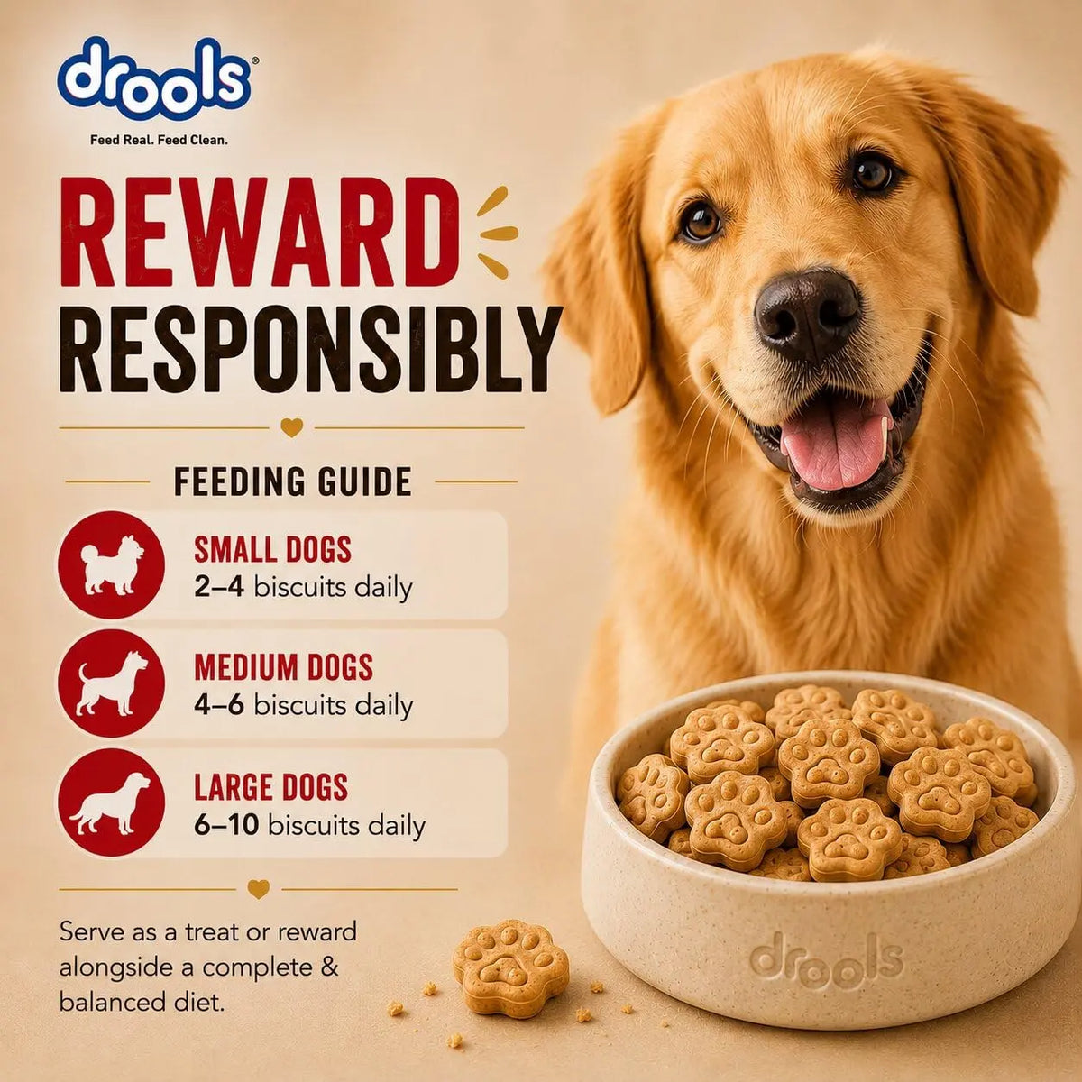 Drools All Life Stages Dog Treat Biscuits 400g Jar | Real Chicken Flavour | All Breed Formula | Promotes Lustrous Skin & Coat | Vitamins & Minerals | Reduces Tartar Build Up Drools