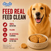 Drools All Life Stages Dog Treat Biscuits 400g Jar | Real Chicken Flavour | All Breed Formula | Promotes Lustrous Skin & Coat | Vitamins & Minerals | Reduces Tartar Build Up Drools