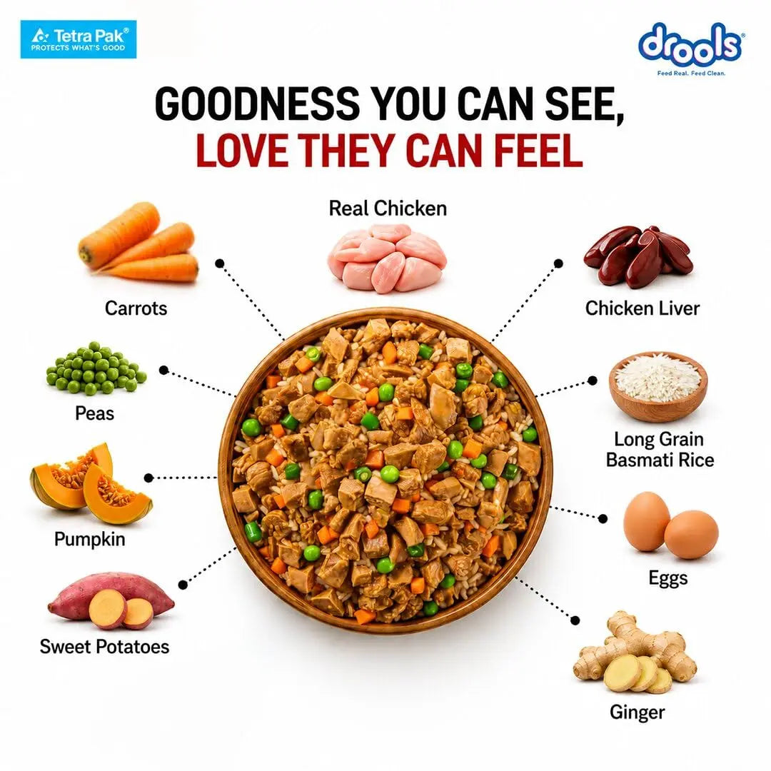 Drools Dog Fresh Food Tetra Pak Real Chicken Biryani, for Adult & Puppy, 150g | High Protein, 90% Real Meat | No Preservatives | Retains Freshness & Flavours | Ready to Serve | One Pack Per Meal Drools