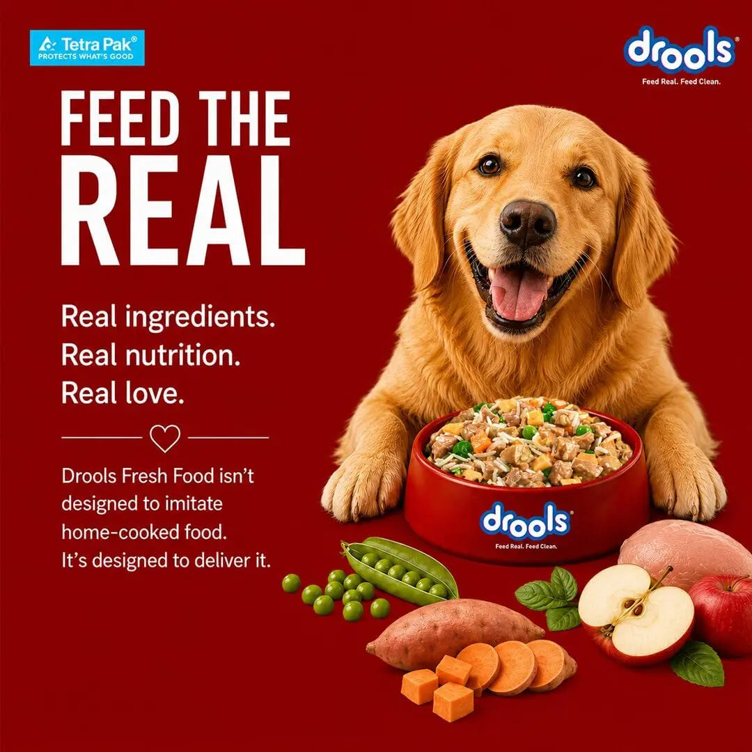 Drools Dog Fresh Food Tetra Pak Real Chicken Biryani, for Adult & Puppy, 150g | High Protein, 90% Real Meat | No Preservatives | Retains Freshness & Flavours | Ready to Serve | One Pack Per Meal Drools