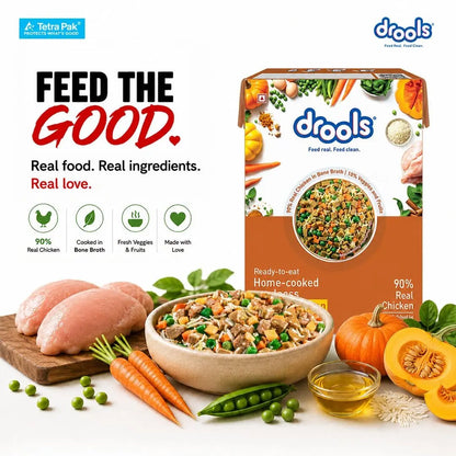 Drools Dog Fresh Food Tetra Pak Real Chicken & Pumpkin, for Adult & Puppy, 350g | High Protein, 90% Real Meat | No Preservatives | Retains Freshness & Flavours | Ready to Serve | One Pack Per Meal Drools