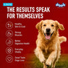 Drools Dog Fresh Food Tetra Pak Real Chicken & Pumpkin, for Adult & Puppy, 350g | High Protein, 90% Real Meat | No Preservatives | Retains Freshness & Flavours | Ready to Serve | One Pack Per Meal Drools