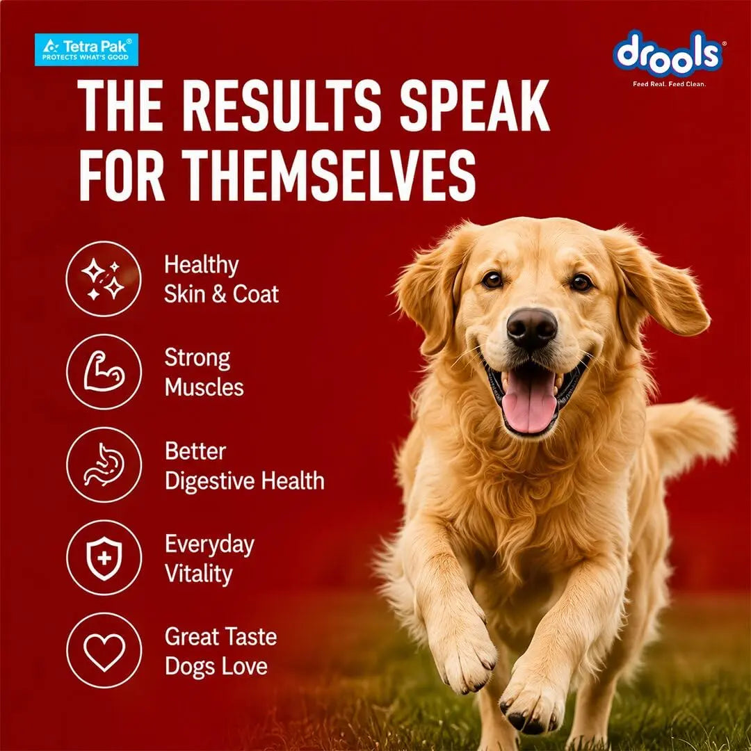 Drools Dog Fresh Food Tetra Pak Real Chicken & Pumpkin, for Adult & Puppy, 350g | High Protein, 90% Real Meat | No Preservatives | Retains Freshness & Flavours | Ready to Serve | One Pack Per Meal Drools