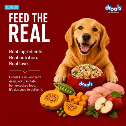 Drools Dog Fresh Food Tetra Pak Real Chicken & Pumpkin, for Adult & Puppy, 350g | High Protein, 90% Real Meat | No Preservatives | Retains Freshness & Flavours | Ready to Serve | One Pack Per Meal Drools