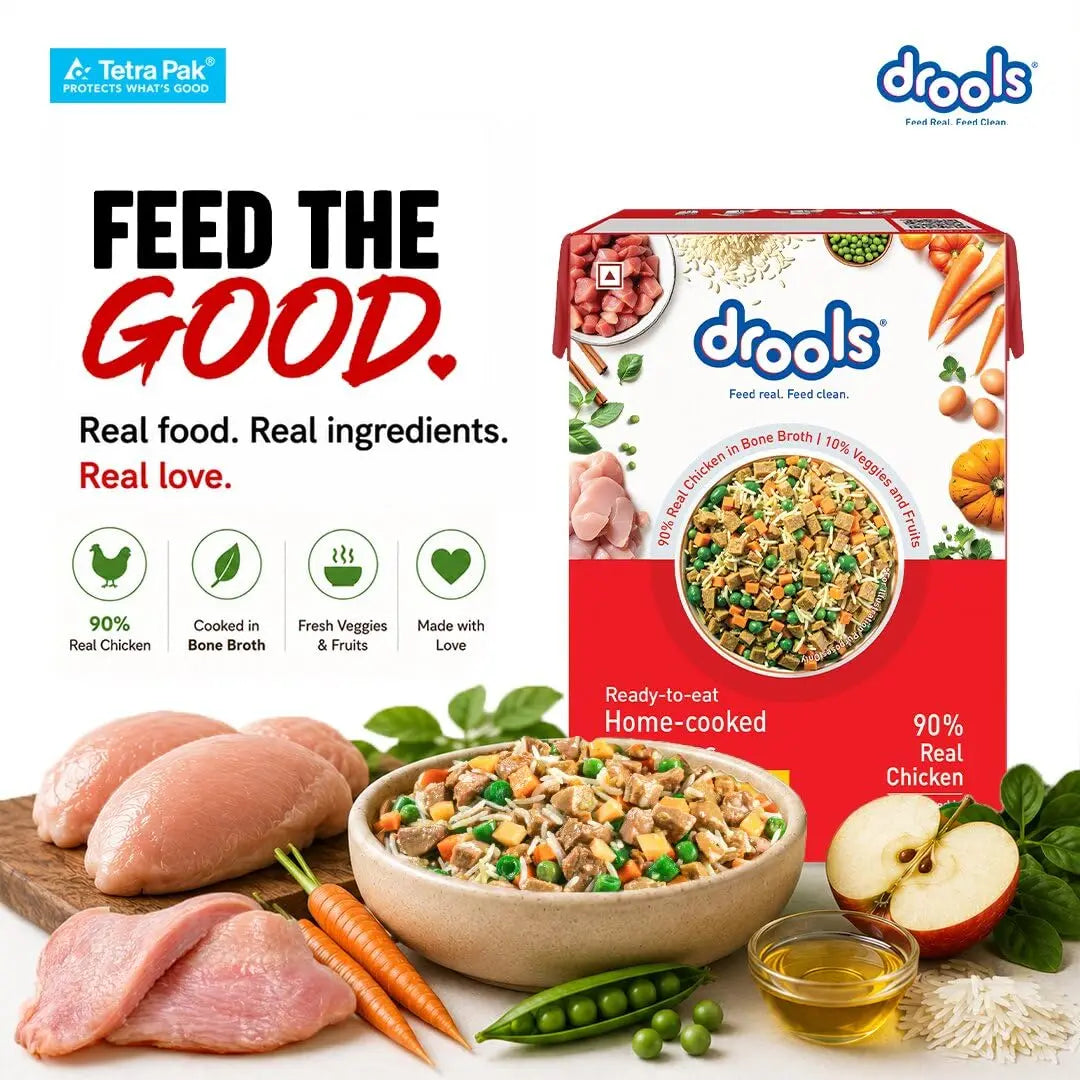 Drools Dog Fresh Food Tetra Pak Real Chicken & Turkey, for Adult & Puppy, 350g | High Protein, 90% Real Meat | No Preservatives | Retains Freshness & Flavours | Ready to Serve | One Pack Per Meal Drools