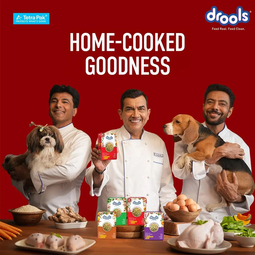 Drools Dog Fresh Food Tetra Pak Real Chicken & Turkey, for Adult & Puppy, 350g | High Protein, 90% Real Meat | No Preservatives | Retains Freshness & Flavours | Ready to Serve | One Pack Per Meal Drools