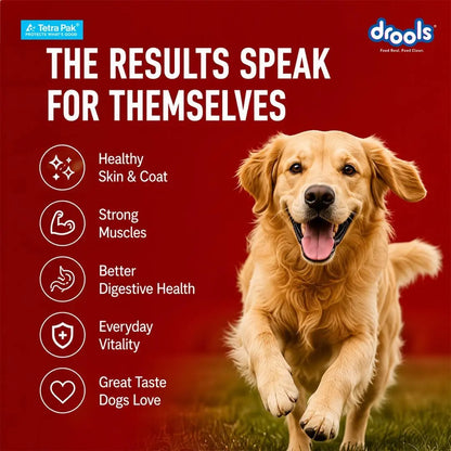 Drools Dog Fresh Food Tetra Pak Real Chicken & Turkey, for Adult & Puppy, 350g | High Protein, 90% Real Meat | No Preservatives | Retains Freshness & Flavours | Ready to Serve | One Pack Per Meal Drools