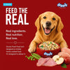 Drools Dog Fresh Food Tetra Pak Real Chicken & Turkey, for Adult & Puppy, 350g | High Protein, 90% Real Meat | No Preservatives | Retains Freshness & Flavours | Ready to Serve | One Pack Per Meal Drools