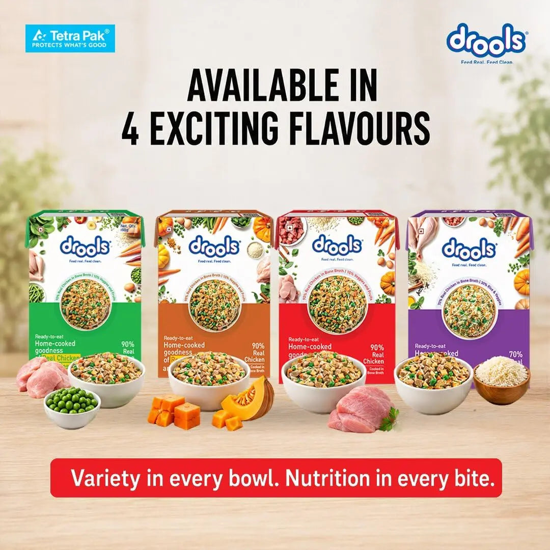 Drools Dog Fresh Food Tetra Pak Real Chicken & Turkey, for Adult & Puppy, 350g | High Protein, 90% Real Meat | No Preservatives | Retains Freshness & Flavours | Ready to Serve | One Pack Per Meal Drools