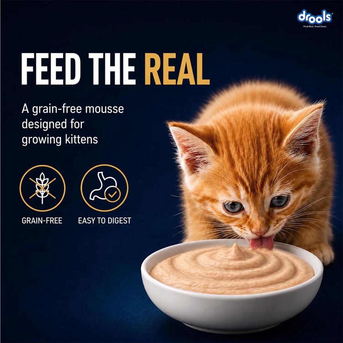 Drools Kitten Wet Mousse 80g Pack of 5, Total 400g | Chicken Flavour | Rich in Protein | Promotes Hydration & Easy to Digest | Packed with Essential Vitamins & Antioxidants Drools