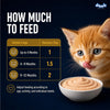 Drools Kitten Wet Mousse 80g Pack of 5, Total 400g | Chicken Flavour | Rich in Protein | Promotes Hydration & Easy to Digest | Packed with Essential Vitamins & Antioxidants Drools