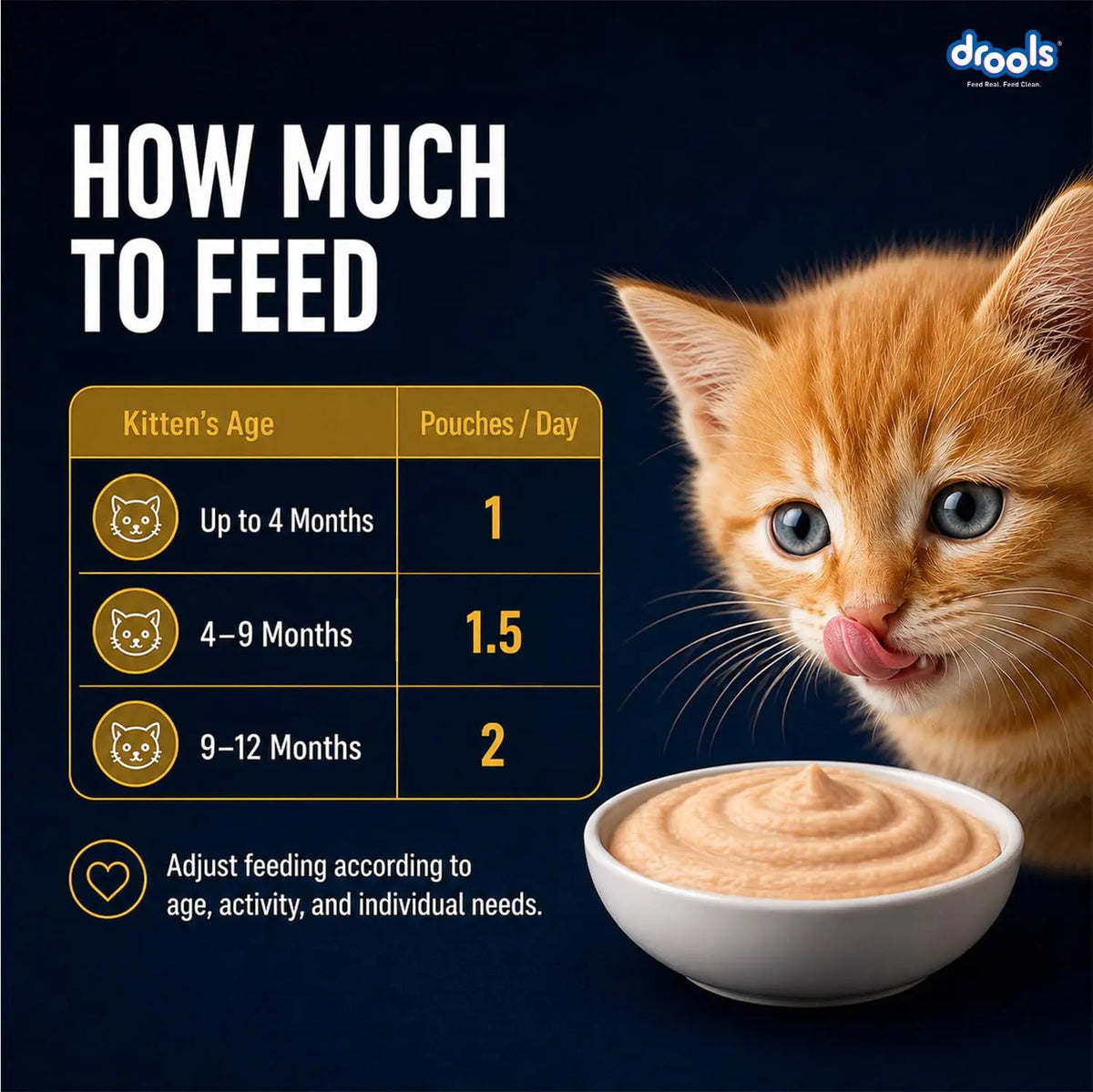 Drools Kitten Wet Mousse 80g Pack of 5, Total 400g | Chicken Flavour | Rich in Protein | Promotes Hydration & Easy to Digest | Packed with Essential Vitamins & Antioxidants Drools