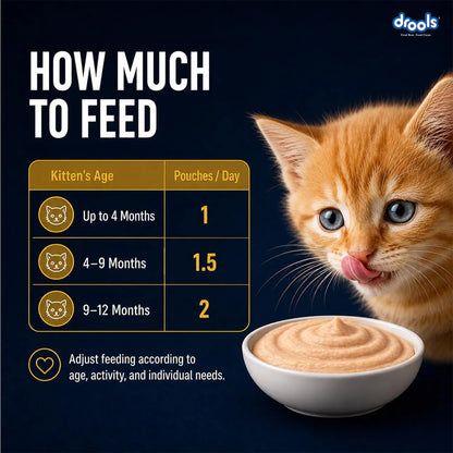 Drools Kitten Wet Mousse 80g Pack of 5, Total 400g | Chicken Flavour | Rich in Protein | Promotes Hydration & Easy to Digest | Packed with Essential Vitamins & Antioxidants Drools