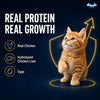 Drools Kitten Wet Mousse 80g Pack of 5, Total 400g | Chicken Flavour | Rich in Protein | Promotes Hydration & Easy to Digest | Packed with Essential Vitamins & Antioxidants Drools