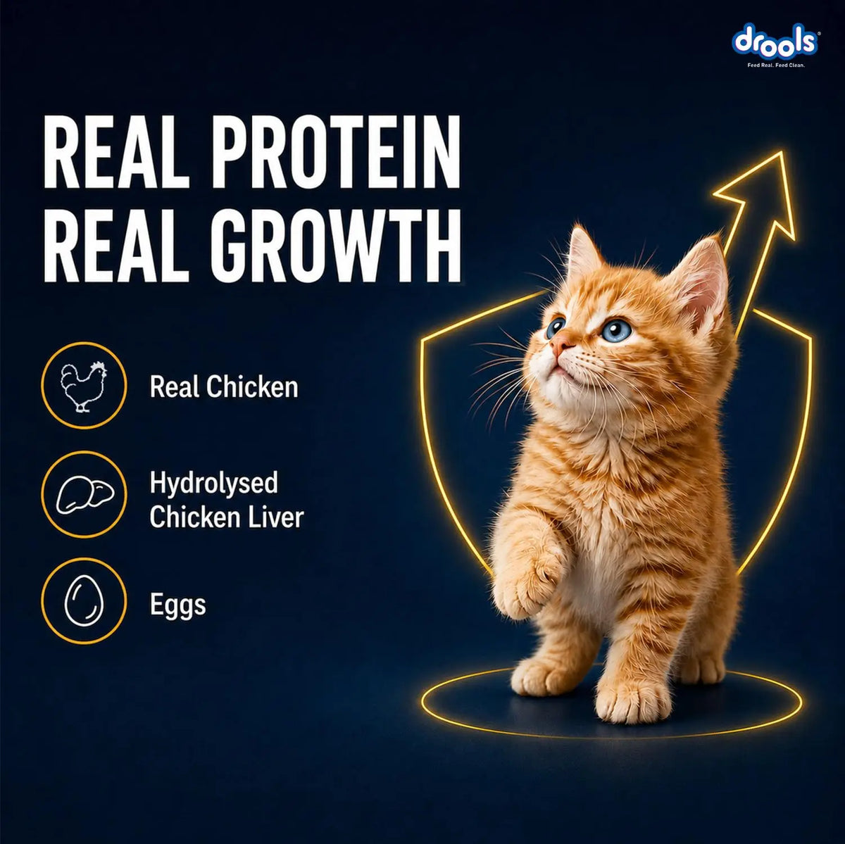 Drools Kitten Wet Mousse 80g Pack of 5, Total 400g | Chicken Flavour | Rich in Protein | Promotes Hydration & Easy to Digest | Packed with Essential Vitamins & Antioxidants Drools
