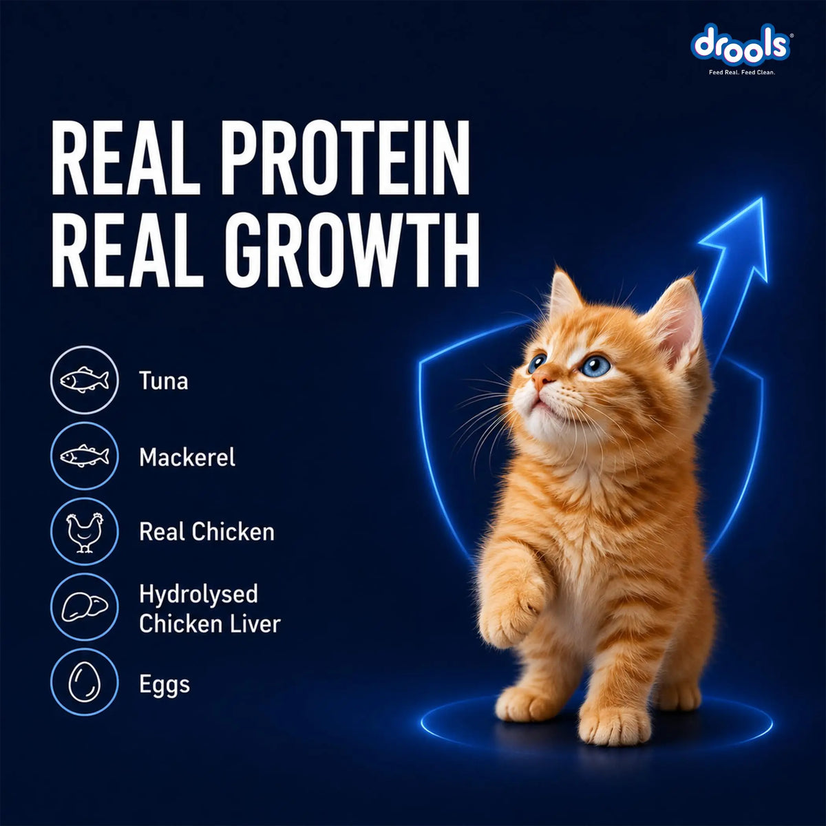 Drools Kitten Wet Mousse 80g Pack of 5, Total 400g | Ocean Fish Flavour | Rich in Protein, Hydrating & Easy to Digest | Essential Vitamins & Antioxidants Drools