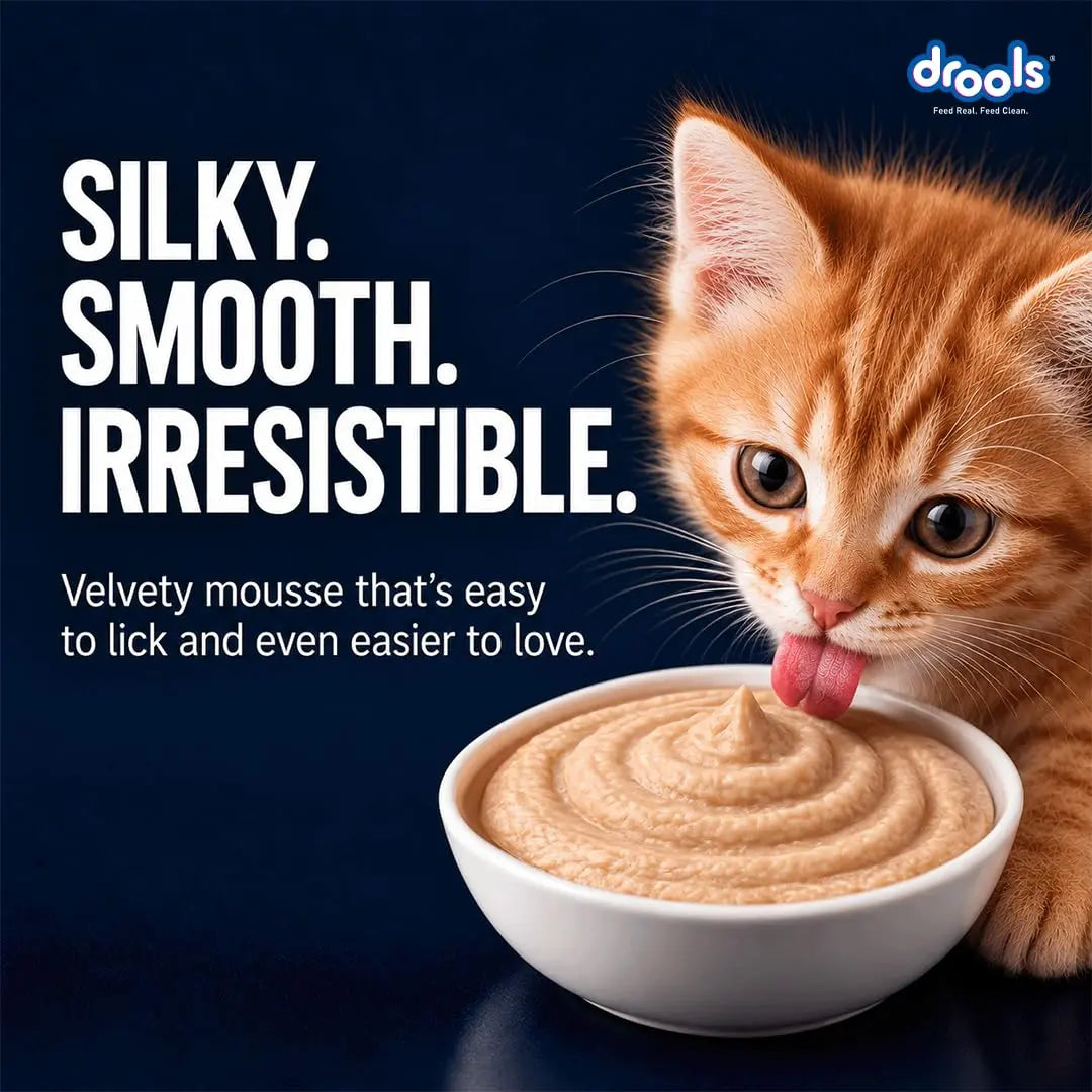 Drools Kitten Wet Mousse 80g Pack of 5, Total 400g | Salmon Flavour | Rich in Protein | Promotes Hydration & Easy to Digest | Packed with Essential Vitamins & Antioxidants Drools