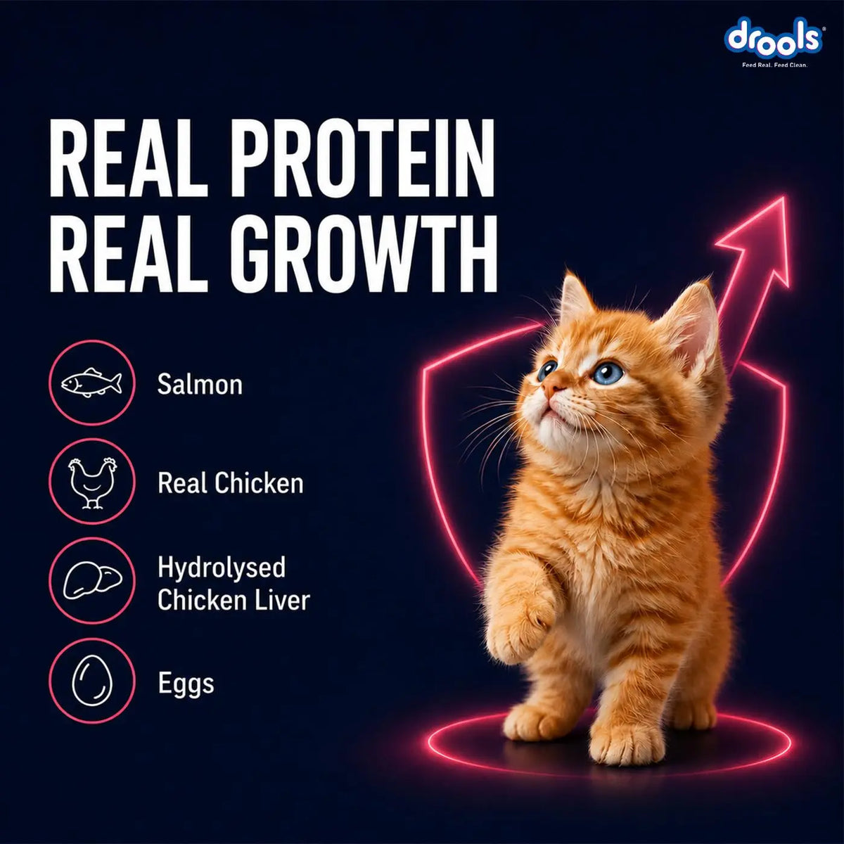 Drools Kitten Wet Mousse 80g Pack of 5, Total 400g | Salmon Flavour | Rich in Protein | Promotes Hydration & Easy to Digest | Packed with Essential Vitamins & Antioxidants Drools