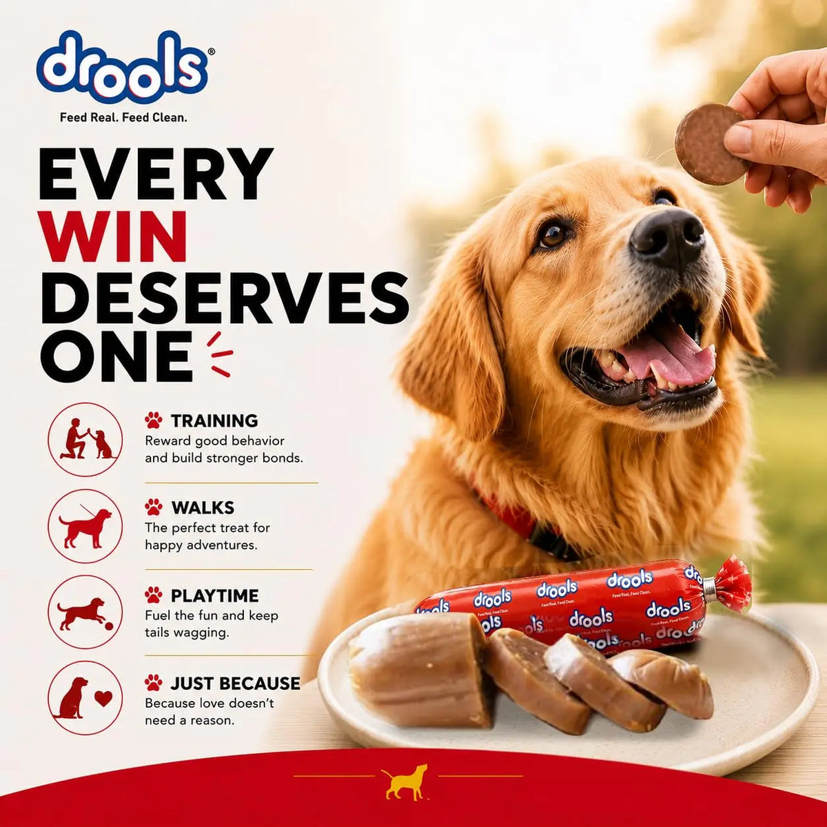 Drools Puppy & Adult Dog Sausage 360g (5+1 Free) | Chicken Flavour | Supports Brain & Vision Development | Promotes Muscle Growth | Aids Digestion & Overall Wellness Drools