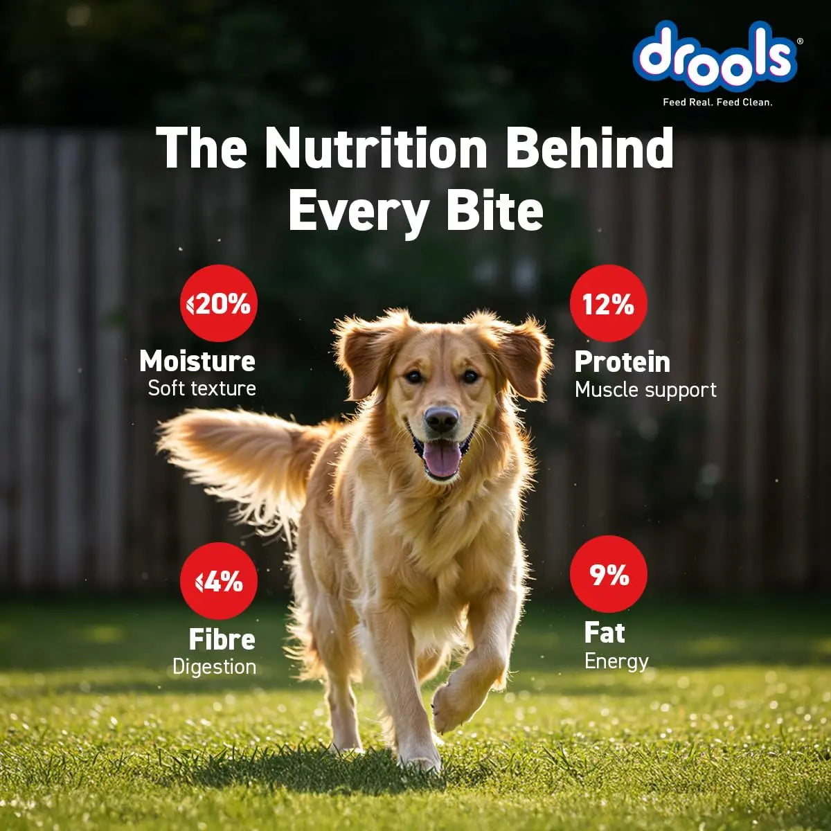 Drools Puppy & Adult Dog Treats Sticks 100g | Blueberry Flavour | Rich in Protein | No Artificial Preservatives | Best for Training & Bonding | Formulated in USA | Premium Treats Drools