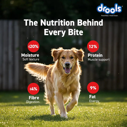 Drools Puppy & Adult Dog Treats Sticks 100g | Blueberry Flavour | Rich in Protein | No Artificial Preservatives | Best for Training & Bonding | Formulated in USA | Premium Treats Drools