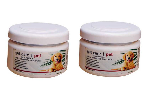 Dux Gut Care High Potency Pre and ProBiotic for Dogs 100 gm (Pack of 2) Amanpetshop