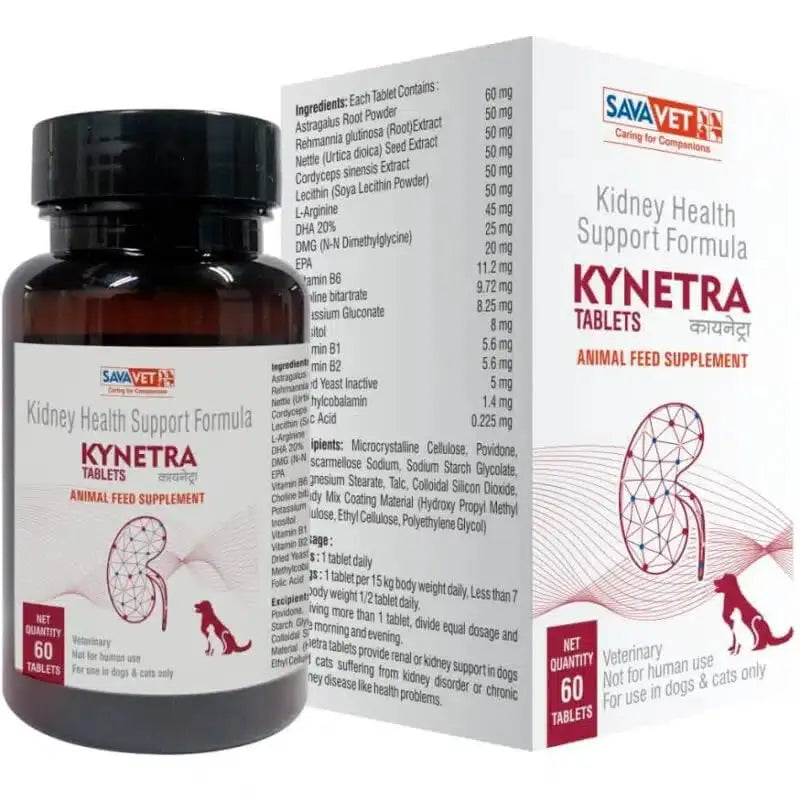 Fifozone Kidney Health Supplement kynetra 60 Tablets for Dogs by Fifozone Fifozone