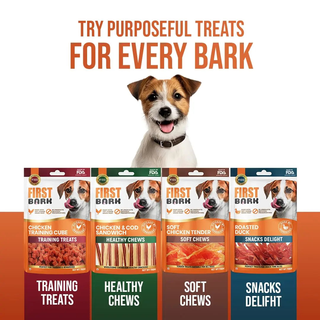 First Bark Dog Treats for Adult Dog & Puppy – Soft Chews Tender Chicken Jerky for Dogs, Small Dogs & Shih Tzu | Easy-to-Chew Puppy Treats & Dog Snacks – Soft Chicken Slice (200g) x1 First Bark