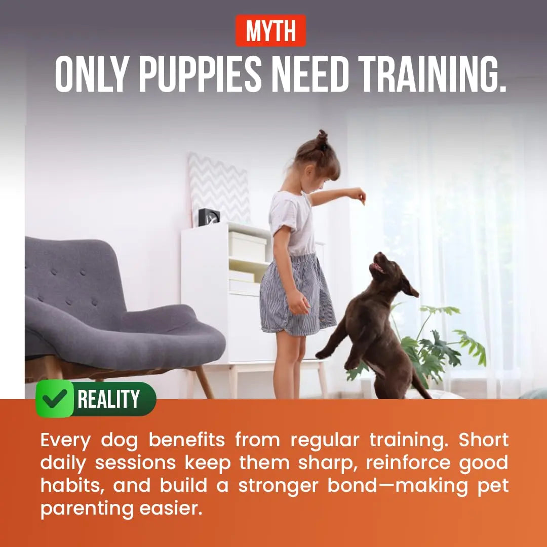 FirstBark Dog Treats for Adult Dog & Puppy – Snack Delights, Soft Chews & Training Chicken Jerky for Dogs, Small Dogs & Shih Tzu | Dog Snacks & Puppy Treats –Assorted (70g) x3 First Bark