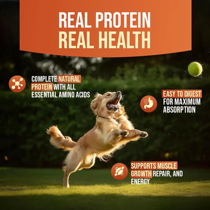 FirstBark Dog Treats for Adult Dog & Puppy – Snack Delights, Soft Chews & Training Chicken Jerky for Dogs, Small Dogs & Shih Tzu | Dog Snacks & Puppy Treats –Assorted (70g) x3 First Bark