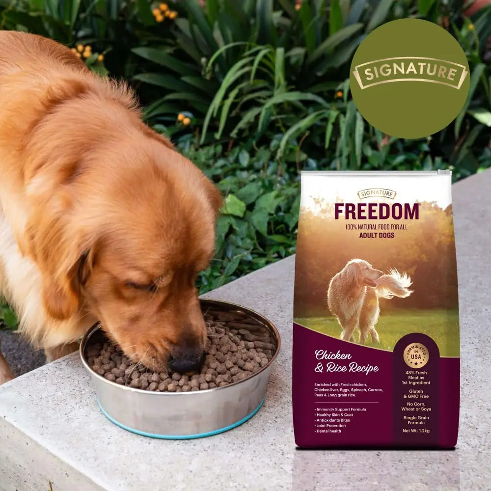 Freedom Chicken & Rice Adult Dog Dry Food - 3 kg DROOLS FREEDOM